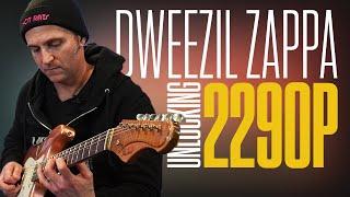 Dweezil Zappa jamming with the 2290 P Dynamic Delay pedal