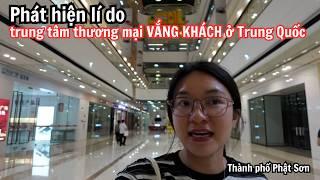 PHÁT CỌC khi nghe bác tài xế người Trung Quốc nói về Việt Nam