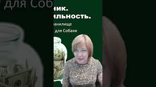 Прячем  деньги под матрац️: Краткий прогноз на вторник 12 декабря 2023 года