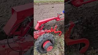 Как пашет мотоблок МТЗ можно смотреть вечно. #агротехнологии #farming #agriculture