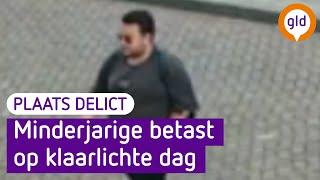 Minderjarige betast op klaarlichte dag in Terborg: herken jij deze man? Plaats Delict