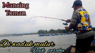 mancing toman waduk mulur naik perahu #mancing #toman