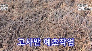 고사리 밭 예초작업고사리 묵은 줄기를 베어주면 땅이 빨리 뜨거워져 고사리가 4-5일정도 빨리 나옵니다. 고사리가 발리 나오면 동해를 입을 염려가 있습니다.