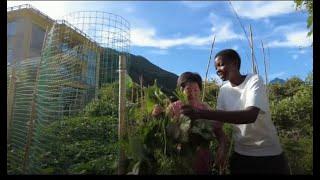 Ugandan vlogger shares rural life in China's Zhejiang