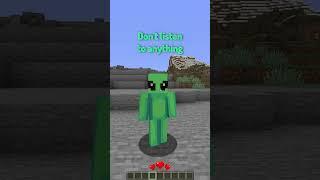 Types of Minecraft Versions