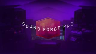 Sound Forge Pro 14 intro