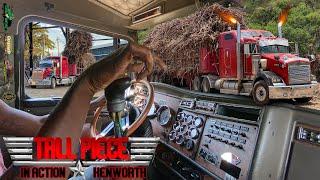 Tall Piece In Action | Shifting 18 Speed | Kenworth T800 | Cane Crop 2024 | Worthy Park Estate