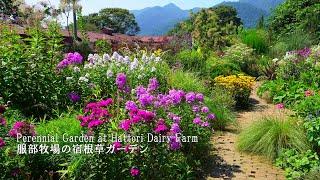 The perennial garden at Hattori Dairy Farm is in full summer bloom!