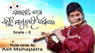 JAHGANNATHA HO KICHHI MAGUNAHI TOTE( Flute cover by Asit Mohapatra)| Instrumental Version |SCALE: E