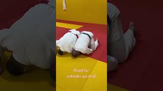 Huizinga Roll by The Master Mark Huizinga himself !