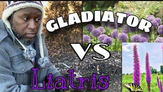 Planting Gladiator Alliums in winter & Oops! My Liatris corms | AJ's GREEN THUMB, LLC
