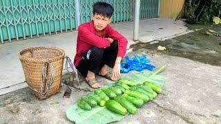 Orphans Boy - Harvesting Papaya Goest to the market sell