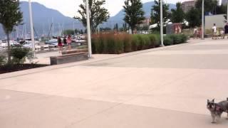 2012 07 Bike Cam Of Siebrings Bike Ride Downtown Kelowna