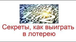 Секреты, как выиграть в лотерею