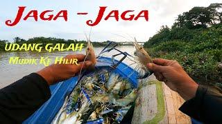 Luarbiasa‼️ Size UDANG GALAH Kali Ini Sadoo Sadoo Yang Bawa Betina ⁉️