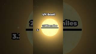 The Sun vs The Largest Star in the Universe. #cosmoknowledge #space #cosmos #universe #sun
