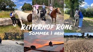 Reiterhof Rohe || Sommer 1 nrw 2024