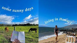 days in hawaiʻi | spending time alone in nature, making nourishing meals, whale sightings!