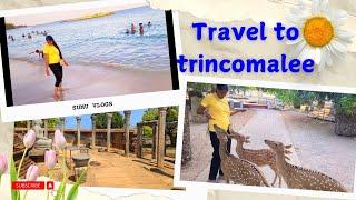 Day in my life | travel to trincomalee | ත්‍රීකුණාමලයට ගියා | Sumu Vlogs | travel to trinco  ‍️