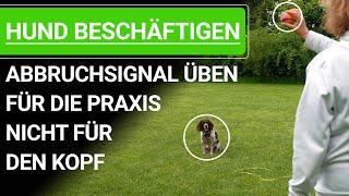  Hund beschäftigen ️ Abbruchsignal üben für die Praxis nicht für den Kopf ️ Praxisvideo ️