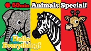  Hello Everything! Wild Animal Animation Compilation | 1 Hour Video