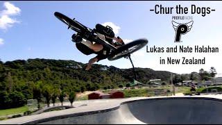 CHUR THE DOGS -- Lukas and Nate Halahan -- In New Zealand