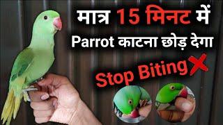 Parrot Chutkiyon Mein Kaatna Chhod Dega   || #tubeinparrow #parrot #parrotprice