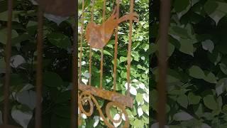 Просто это надо послушать #пениептиц #релакс #птицы#природа #звукиприроды