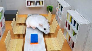  Hamster Adventure in LIBRARY - Amazing Hamster Adventure 