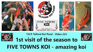 T.K.P.  Telford Koi Pond - Video 224 - 1st visit of the season to FIVE TOWNS KOI - Amazing Koi #koi