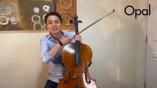 Li-Wei Qin introducing Opal Titan cello A and D strings