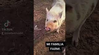 MI FAMILIA FARM!. #aztecasamor JENNI