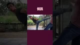 中国真功夫系列之侧踢  Chinese Real Kung Fu Series Side Kick