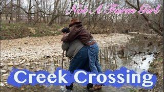 Creek Crossing at Plan Bee Orchard and Farm