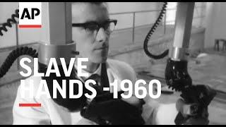 Slave Hands - 1960 | The Archivist Presents | #362