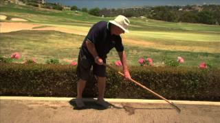 How to seed a new lawn with Munns