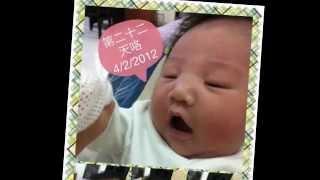 All About Roxanne from 0 month to 12 month