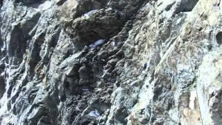 Hervé Barmasse opens a new route: Solo Ascent Of Matterhorn - Cervino