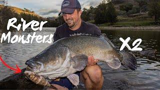 Wild River Monsters - Crazy Session MURRAY COD Fishing