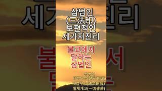 불교에서 말하는 삼법인|"내 마음을 바꾸려는 불교의 3가지 지혜"|"불교의 핵심,  3가지"|"내 마음은 불교의 3가지 법칙"