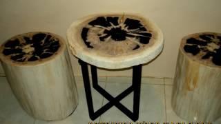 IndoGemstone Petrified Wood Company