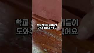 시어머니가 신혼여행을 안보내줘요 #썰 #썰모음 #사연 #공감 #고민 #추천 #추천떠라 #신혼여행