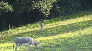 In Umbria, cuore verde d'Italia: Cerqua Rosara Residence