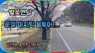 문경에서 2019 벚꽃엔딩 / PIT-IN 봄꽃투어