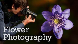 Photographing Spring Flowers - My Best Tips