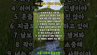 비교 말고 나답게 살아도 돼  #명언 #좋은글 #힐링