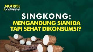 Nutrisi Singkong, Ketahui Cara Mengelolanya & Dapatkan Manfaat Terbaiknya | Nutrisi & Herbal #30