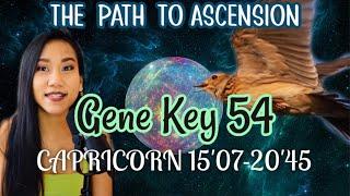 CAPRICORN DESTINYGENE KEY 54 // GATE 54 HUMAN DESIGN