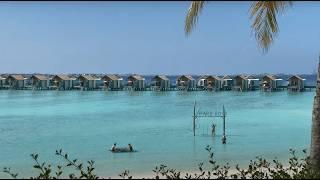 HARD ROCK HOTEL MALDIVES: Самый Рок-н-Рольный Остров в Мире! 4K