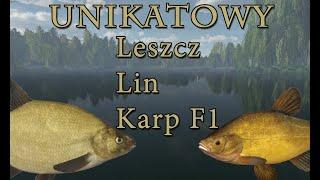 Fishing Planet: Anglia Unikatowy Leszcz Lin Karp f1